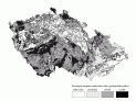 Geologická prognózní mapa radonového indexu